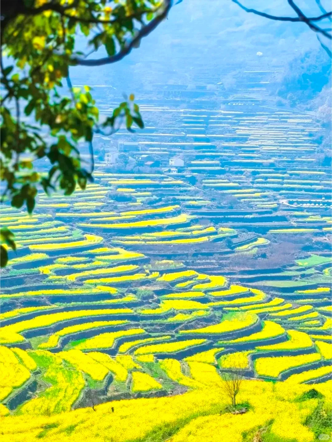 别再去人挤人的热门景点了，这些地方超惊艳