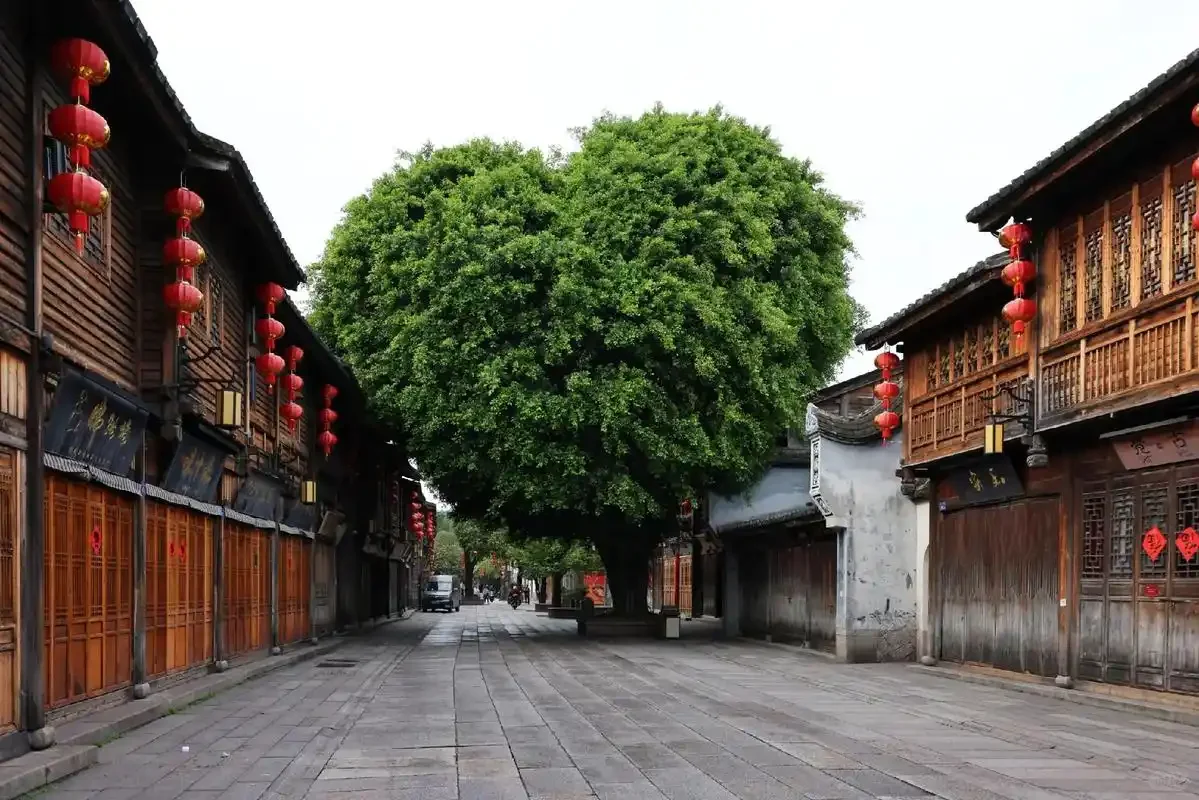 游遍全国—福建篇