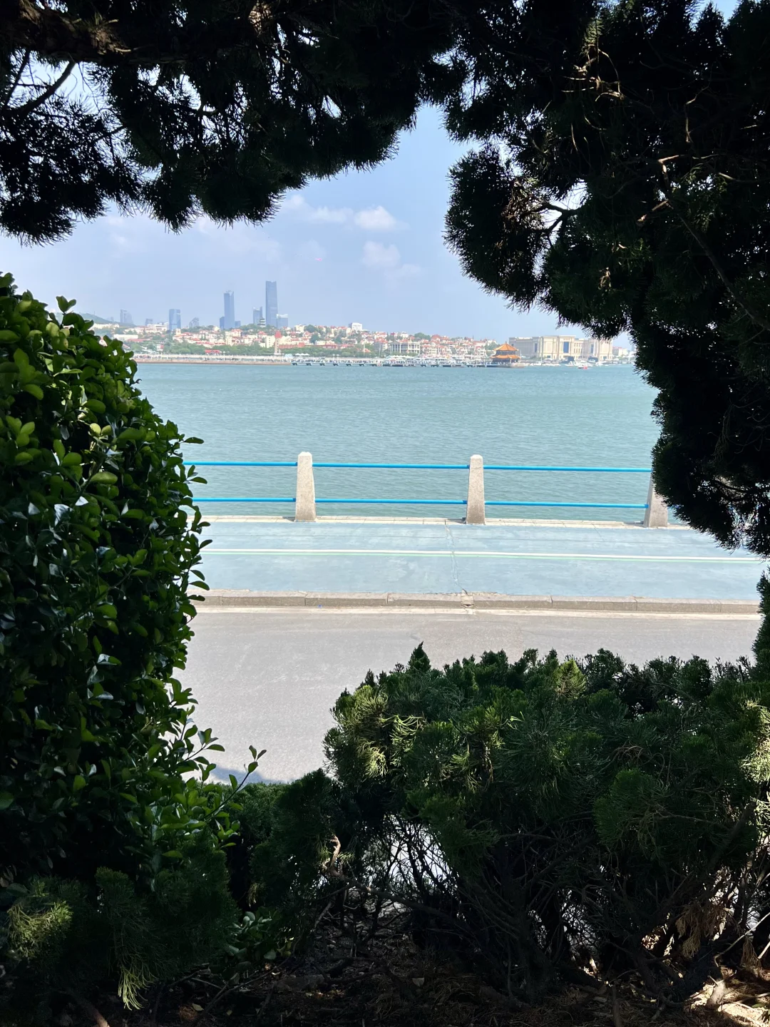 后悔来青岛前没看完这篇！青岛游玩全攻略📝