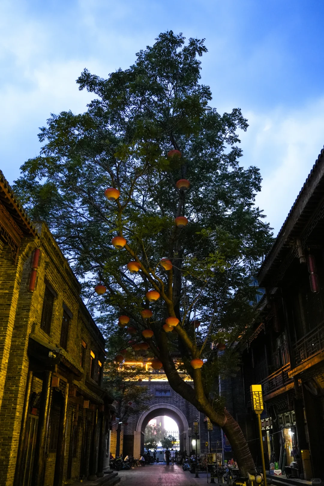 实话！回车巷不如不去 但爱拍照的i人除外