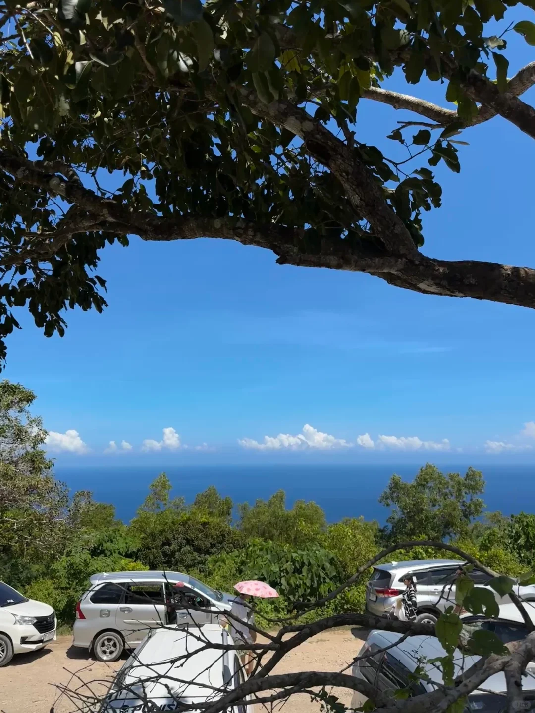 Live｜以为是意大利…