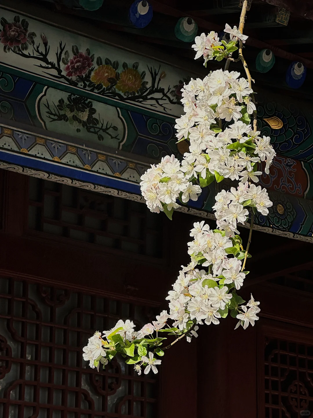 谁说河北是景点荒漠的😡