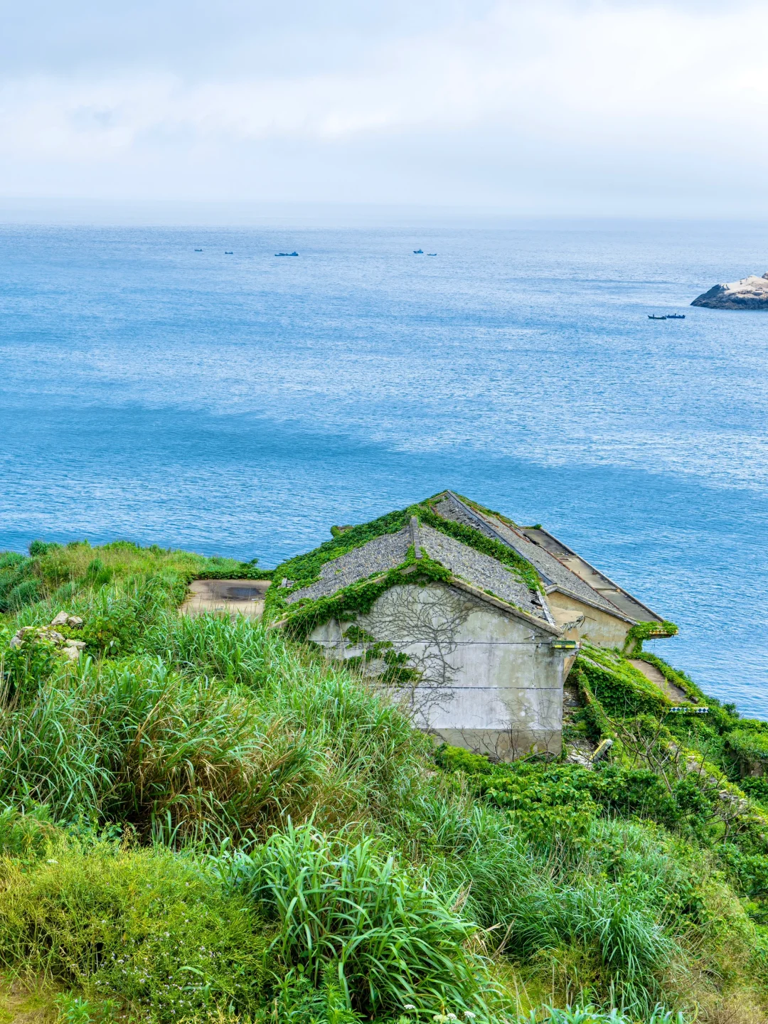 这大概就是江浙沪最蓝的海吧🌊