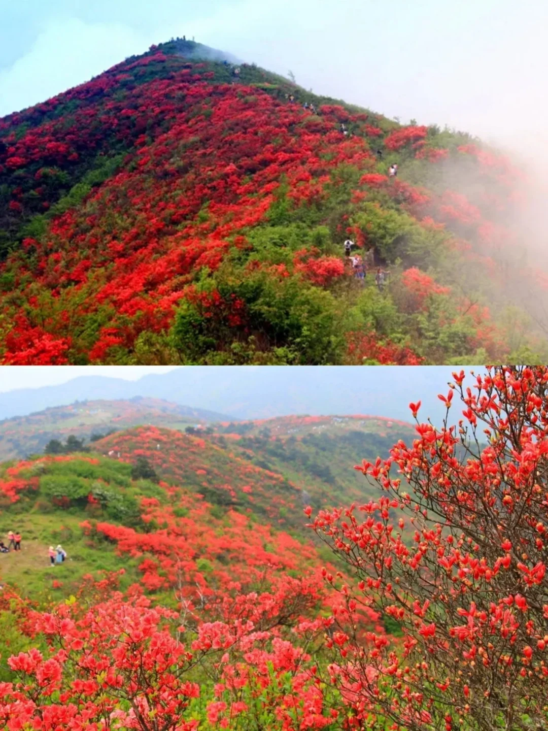 别再去人挤人的热门景点了，这些地方超惊艳