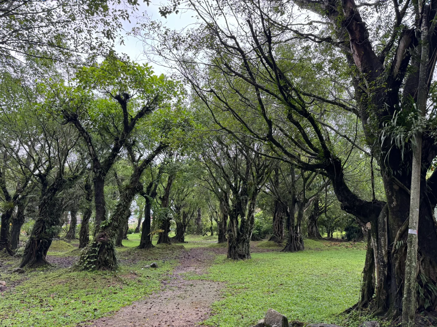 芒市最神奇的4a景点