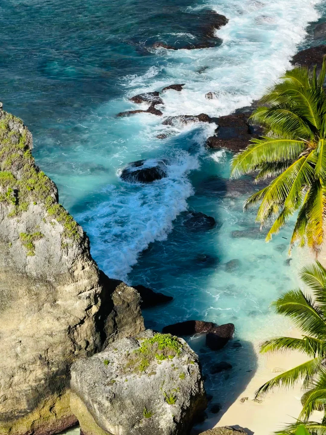 Live｜以为是意大利…