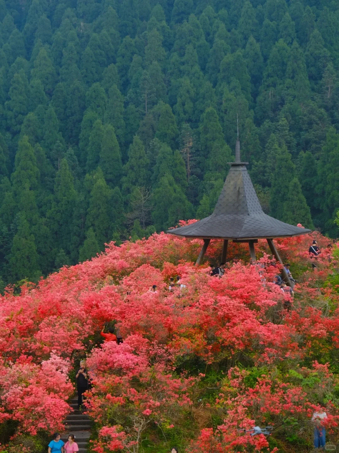别再去人挤人的热门景点了，这些地方超惊艳