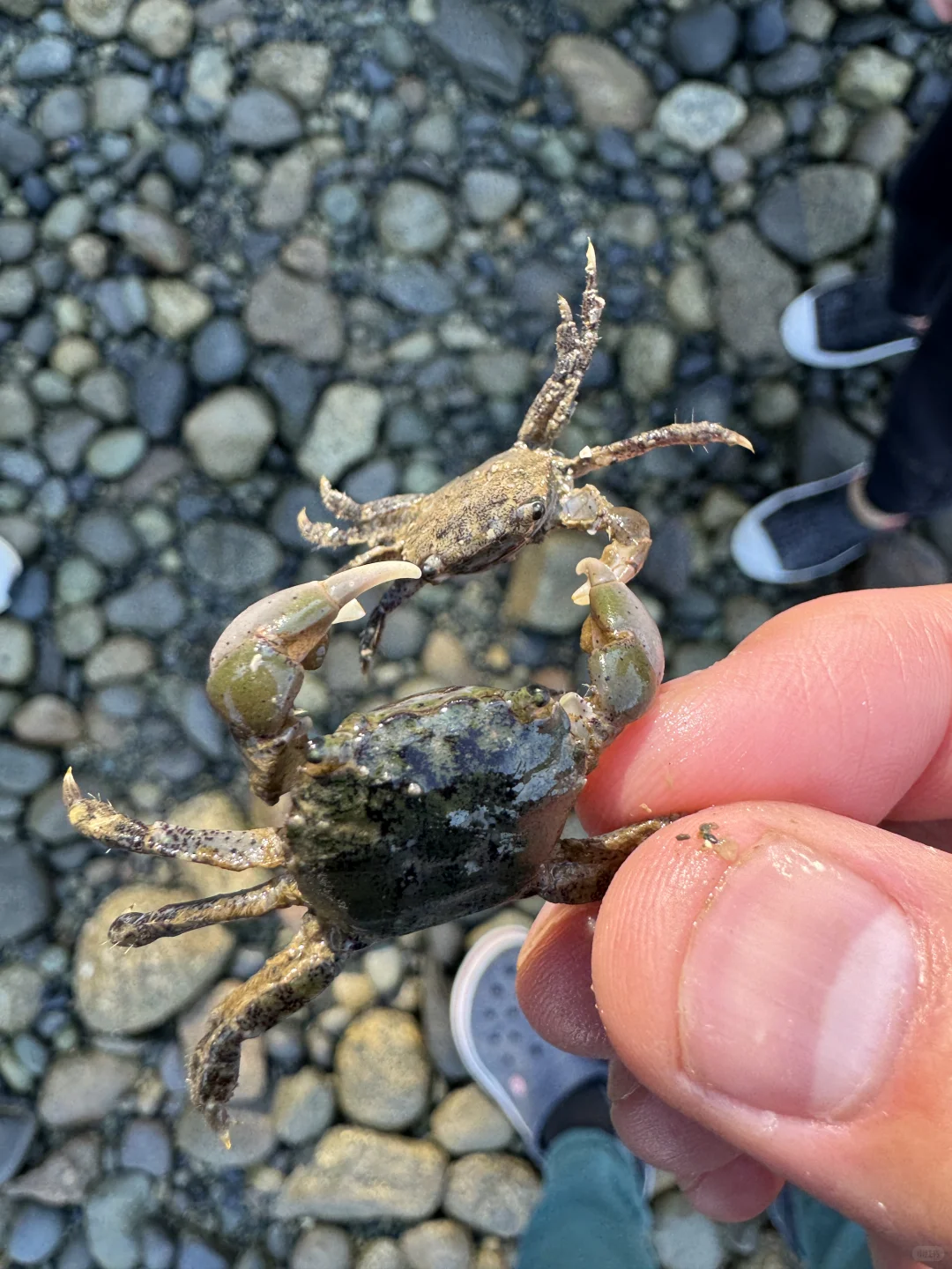 温哥华本地人打死不说的小众景点！