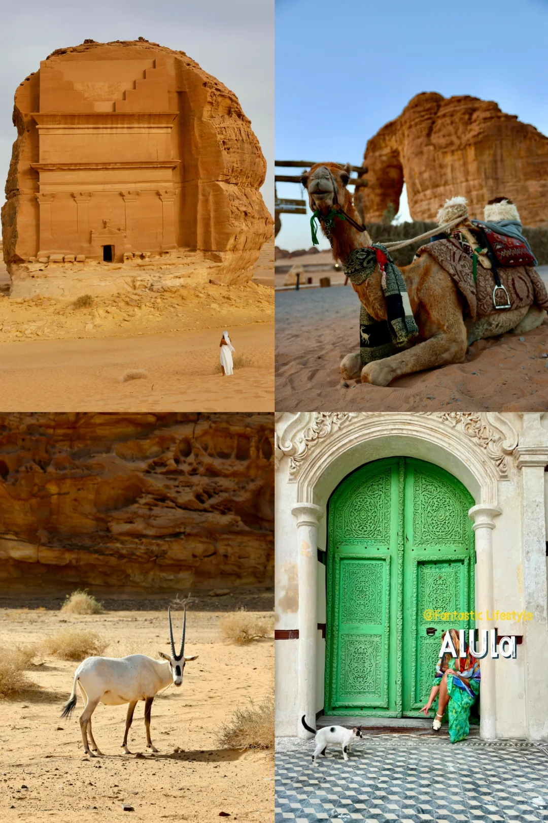沙特5🇸🇦AlUla景点攻略｜淡季大胆冲