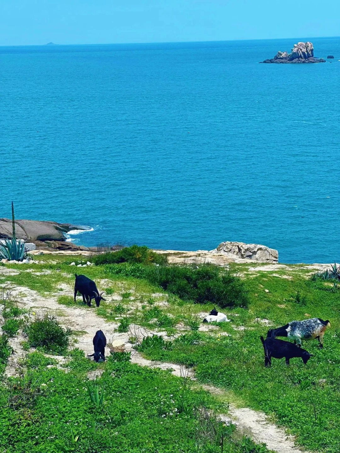 被评为十大最美海岛之一📍在福建