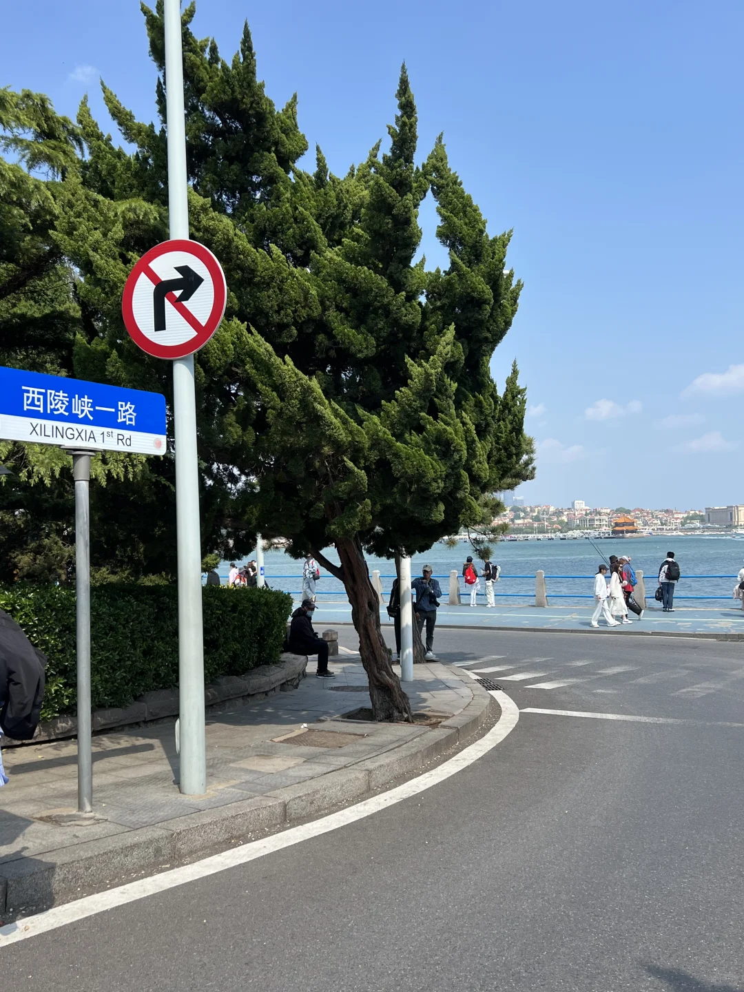 后悔来青岛前没看完这篇！青岛游玩全攻略📝