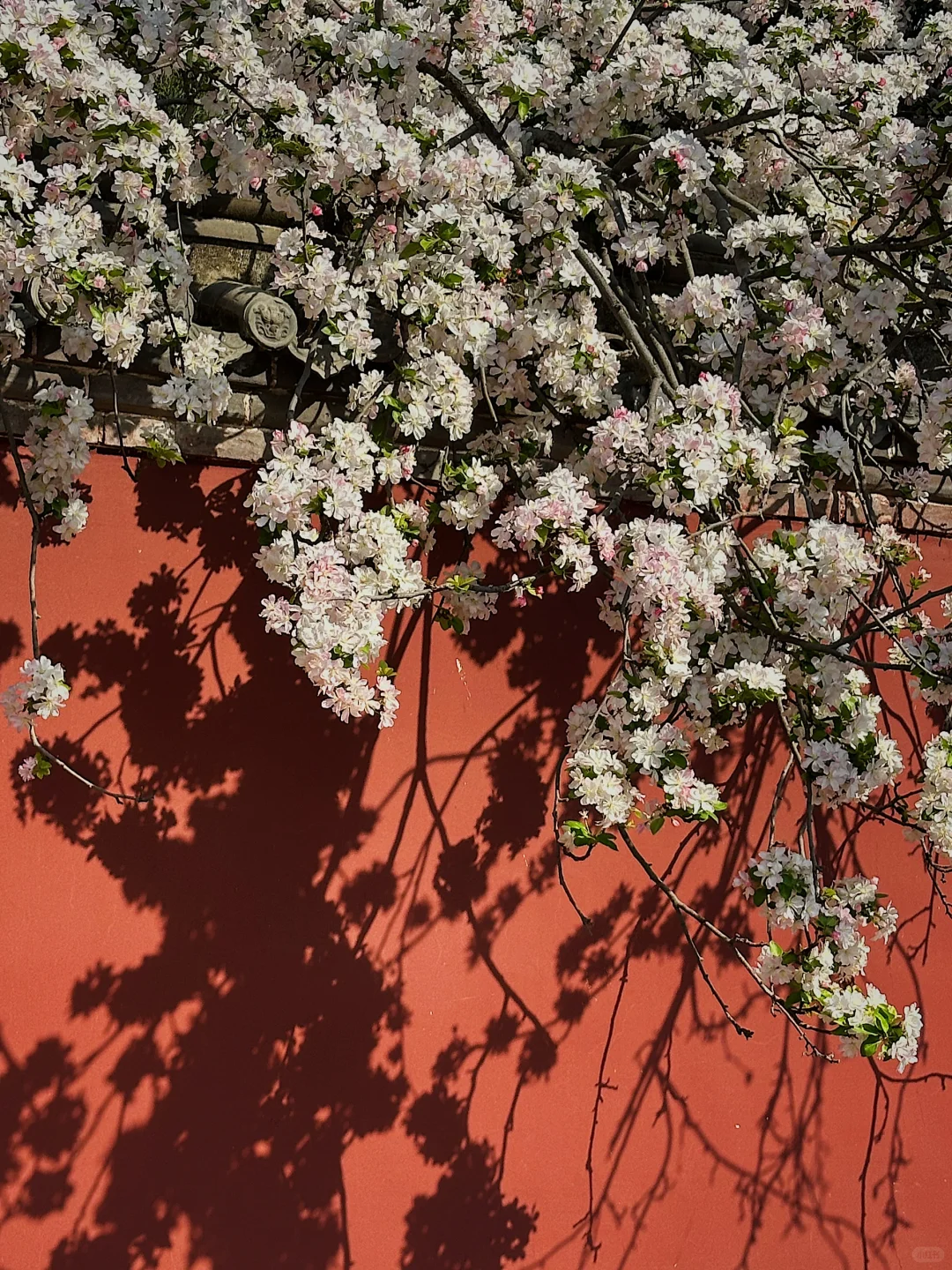 谁说河北是景点荒漠的😡