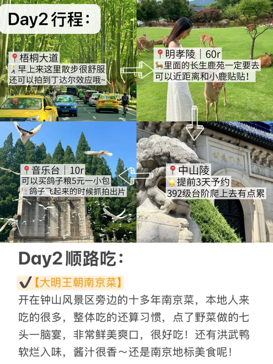 📍去南京｜有这一份手绘地图🗺️就够了！