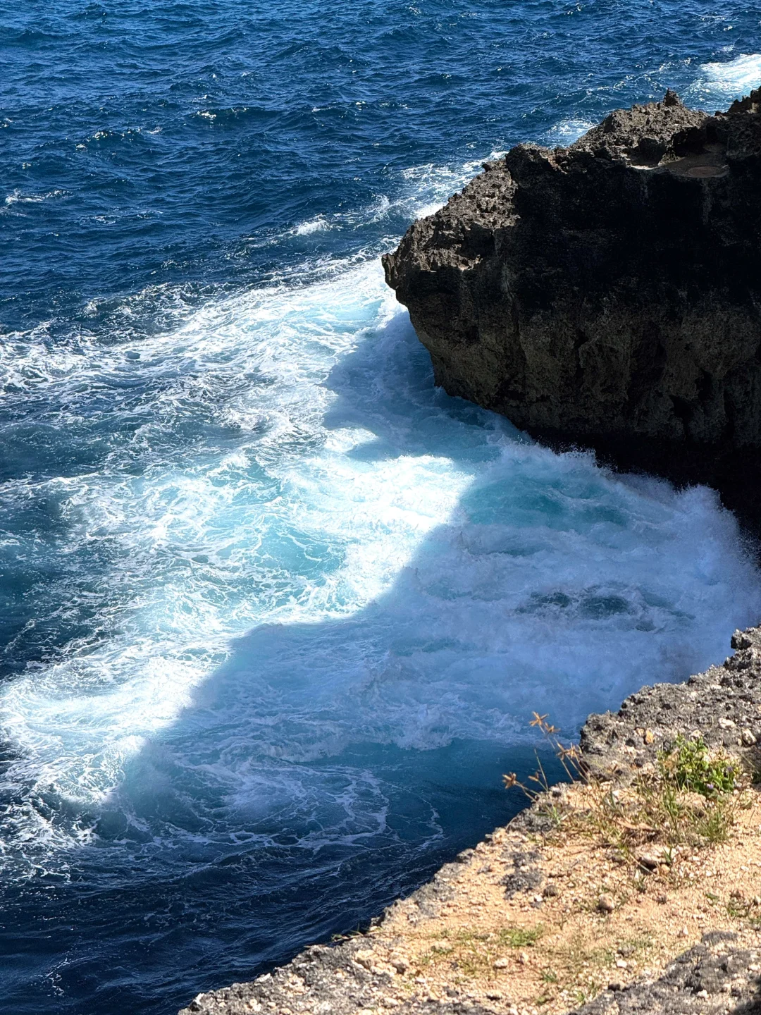 Live｜以为是意大利…