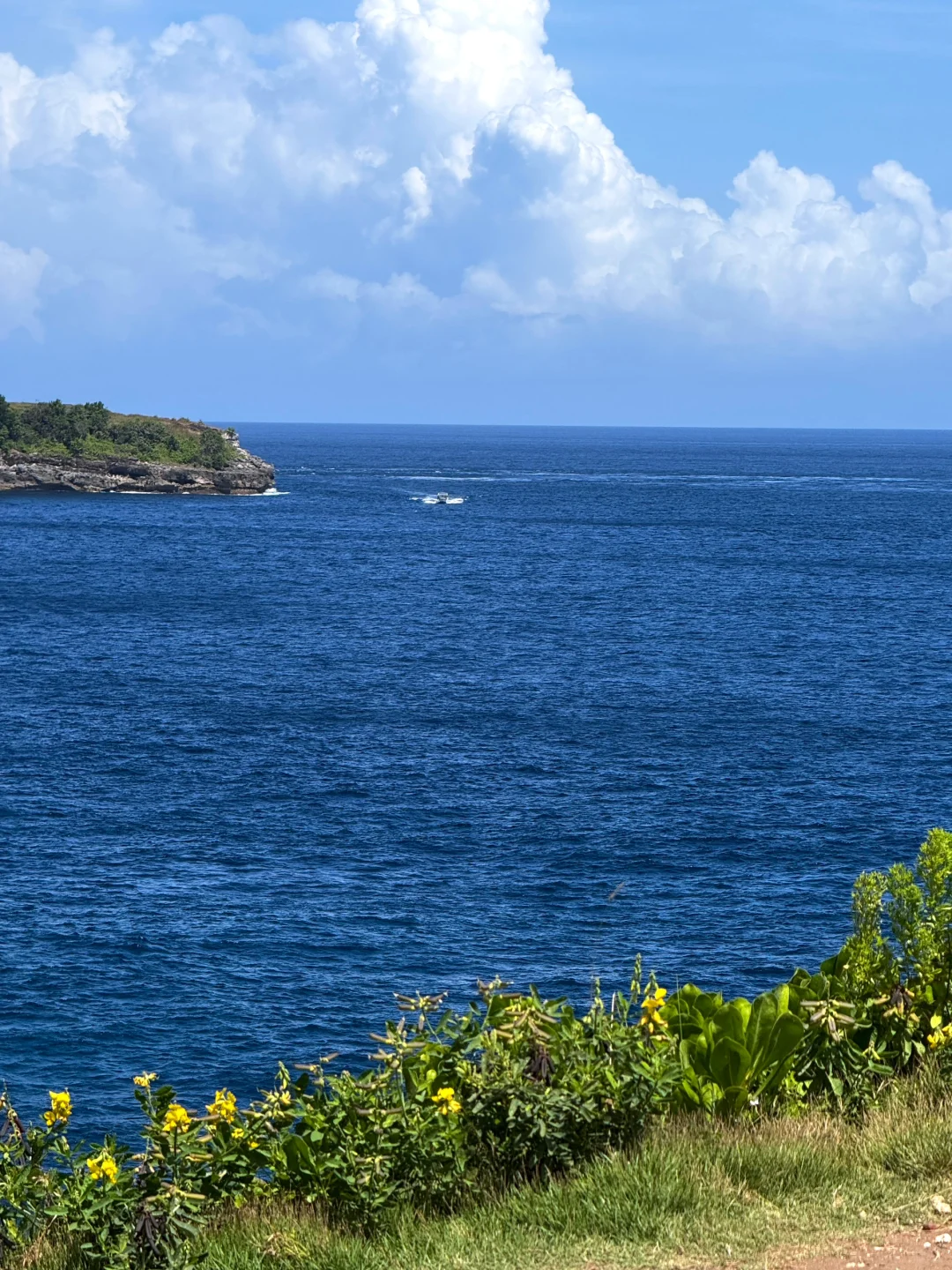 Live｜以为是意大利…