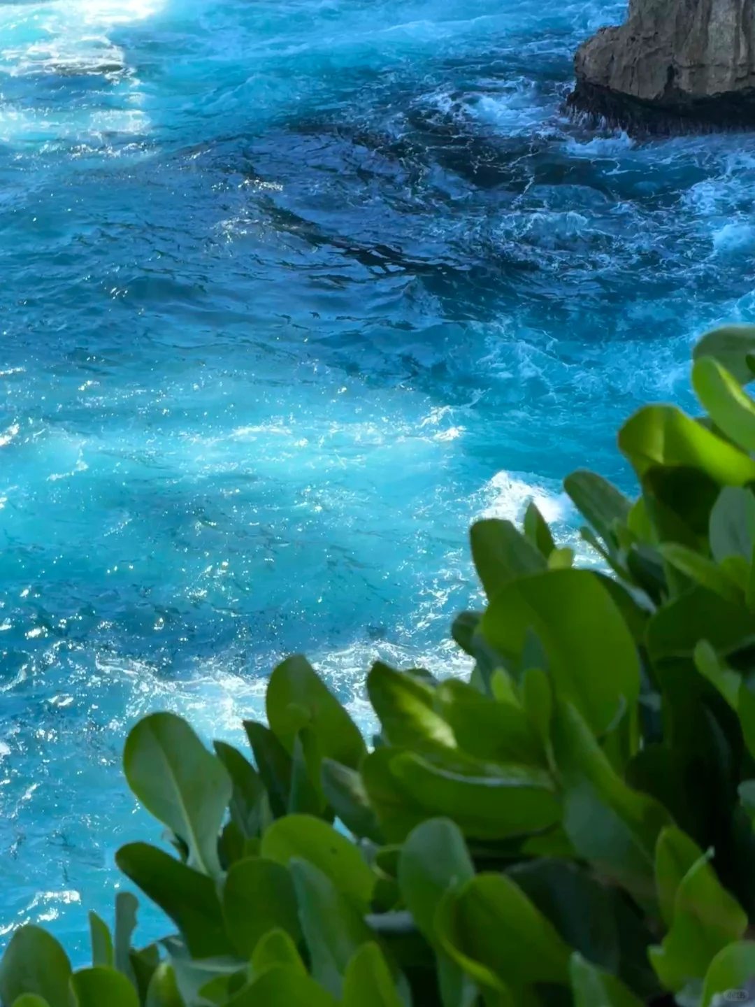 Live｜以为是意大利…