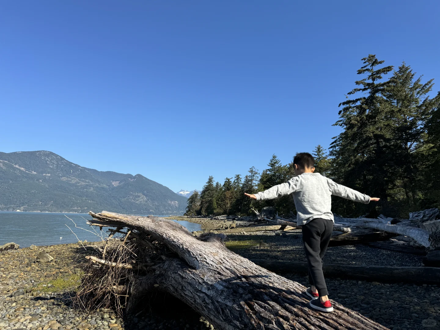 温哥华本地人打死不说的小众景点！