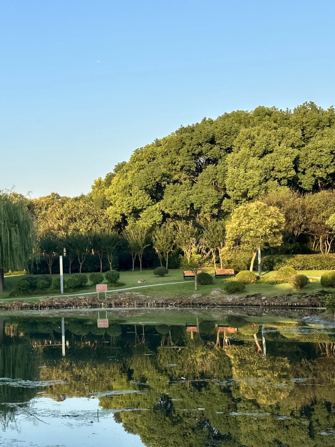 5.21｜上海回来了，能帮一个是一个