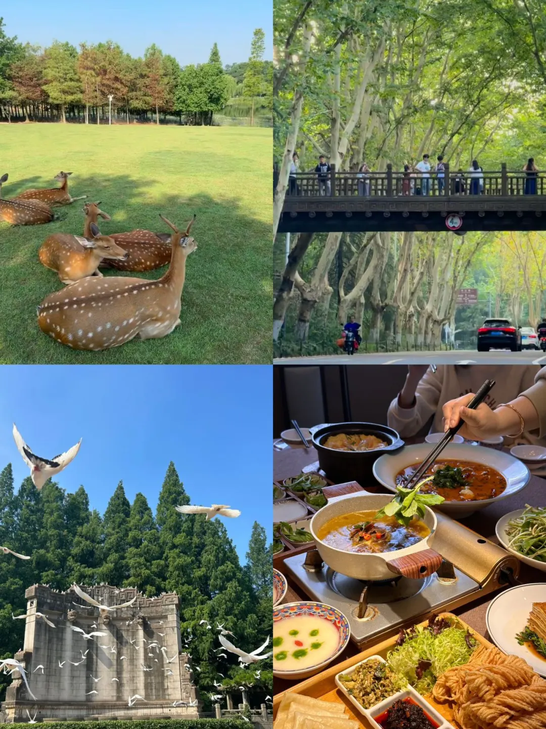 📍去南京｜有这一份手绘地图🗺️就够了！