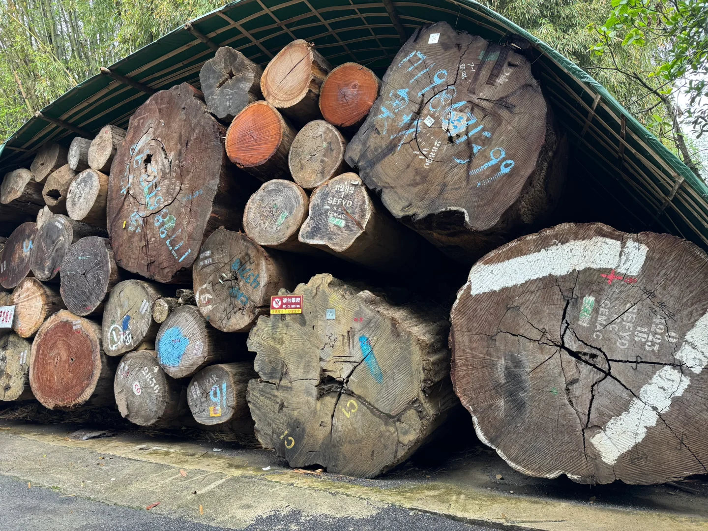 芒市最神奇的4a景点