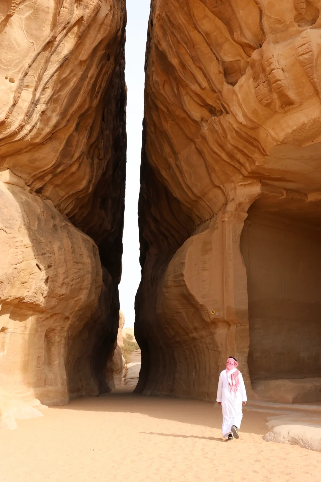 沙特5🇸🇦AlUla景点攻略｜淡季大胆冲