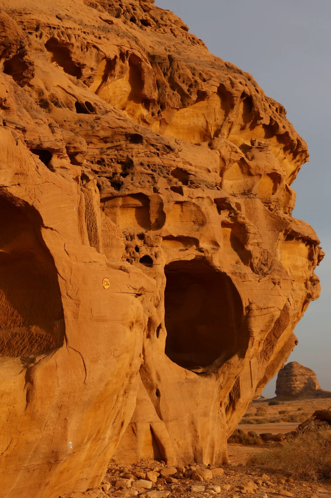 沙特5🇸🇦AlUla景点攻略｜淡季大胆冲