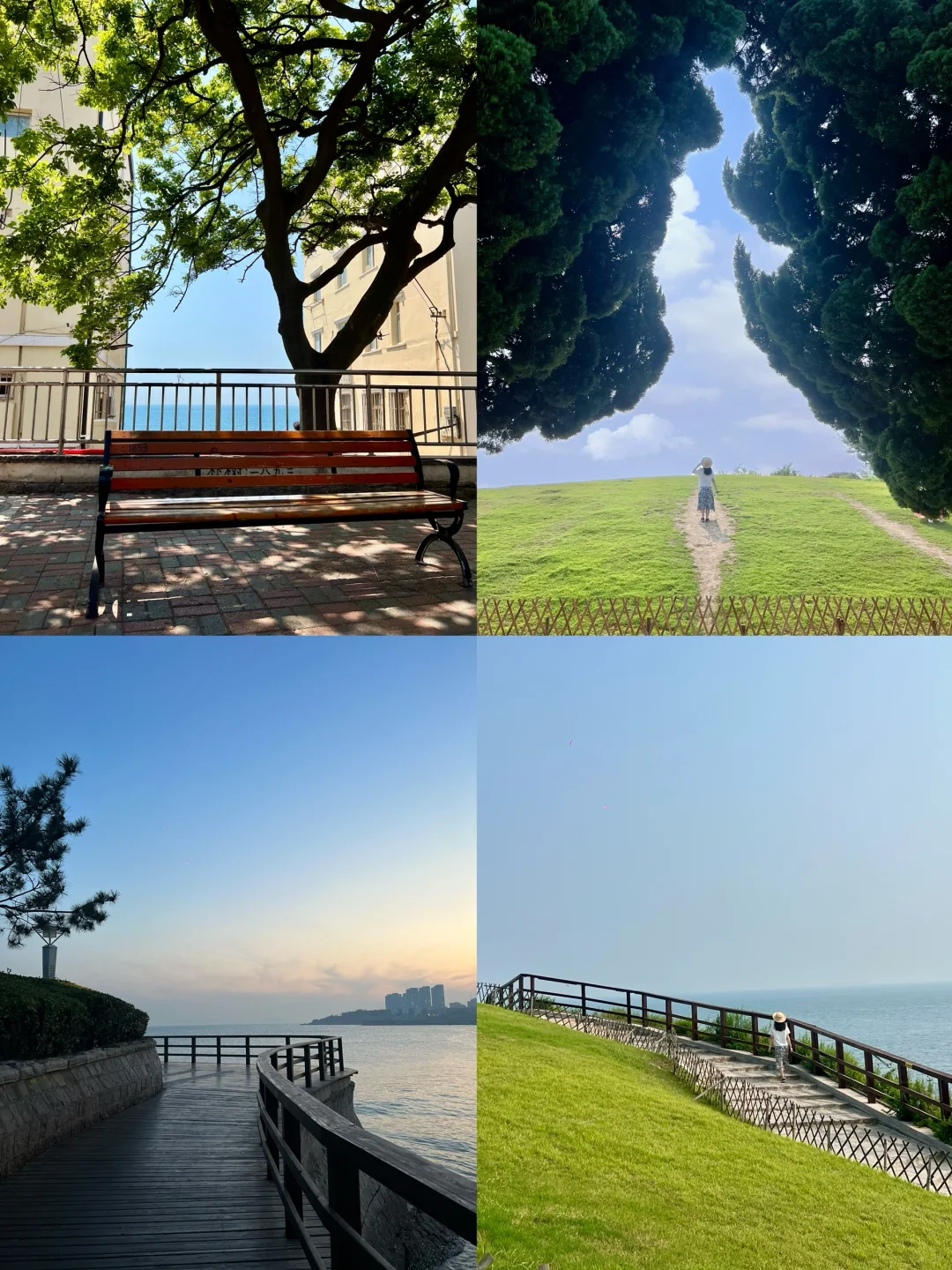 后悔来青岛前没看完这篇！青岛游玩全攻略📝