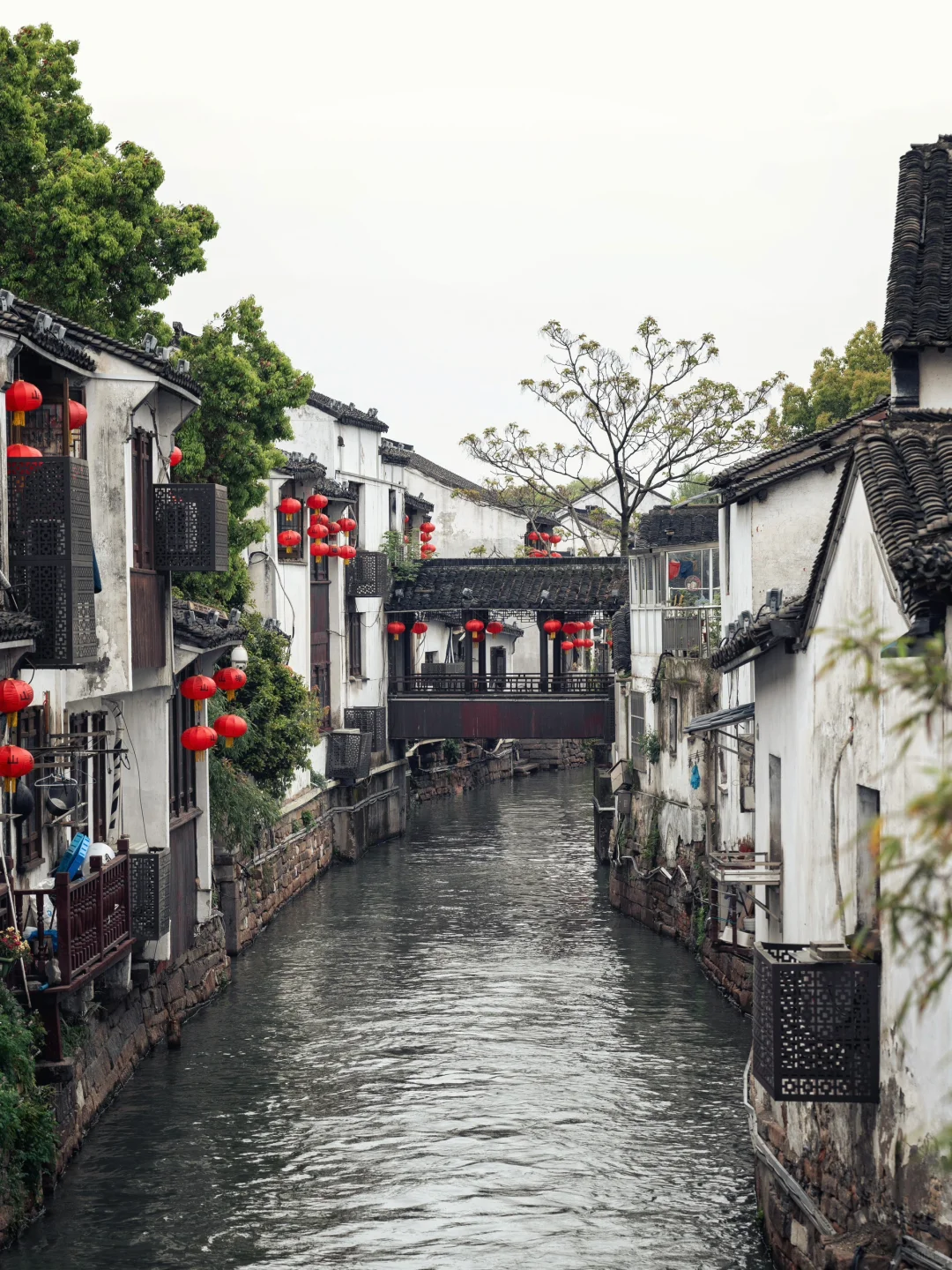 后来我逢人就说，这🔟个古村古镇真的太美