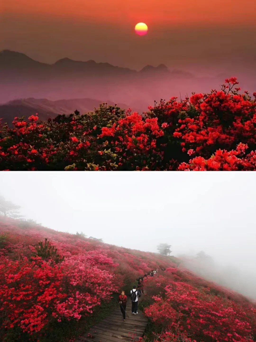 别再去人挤人的热门景点了，这些地方超惊艳