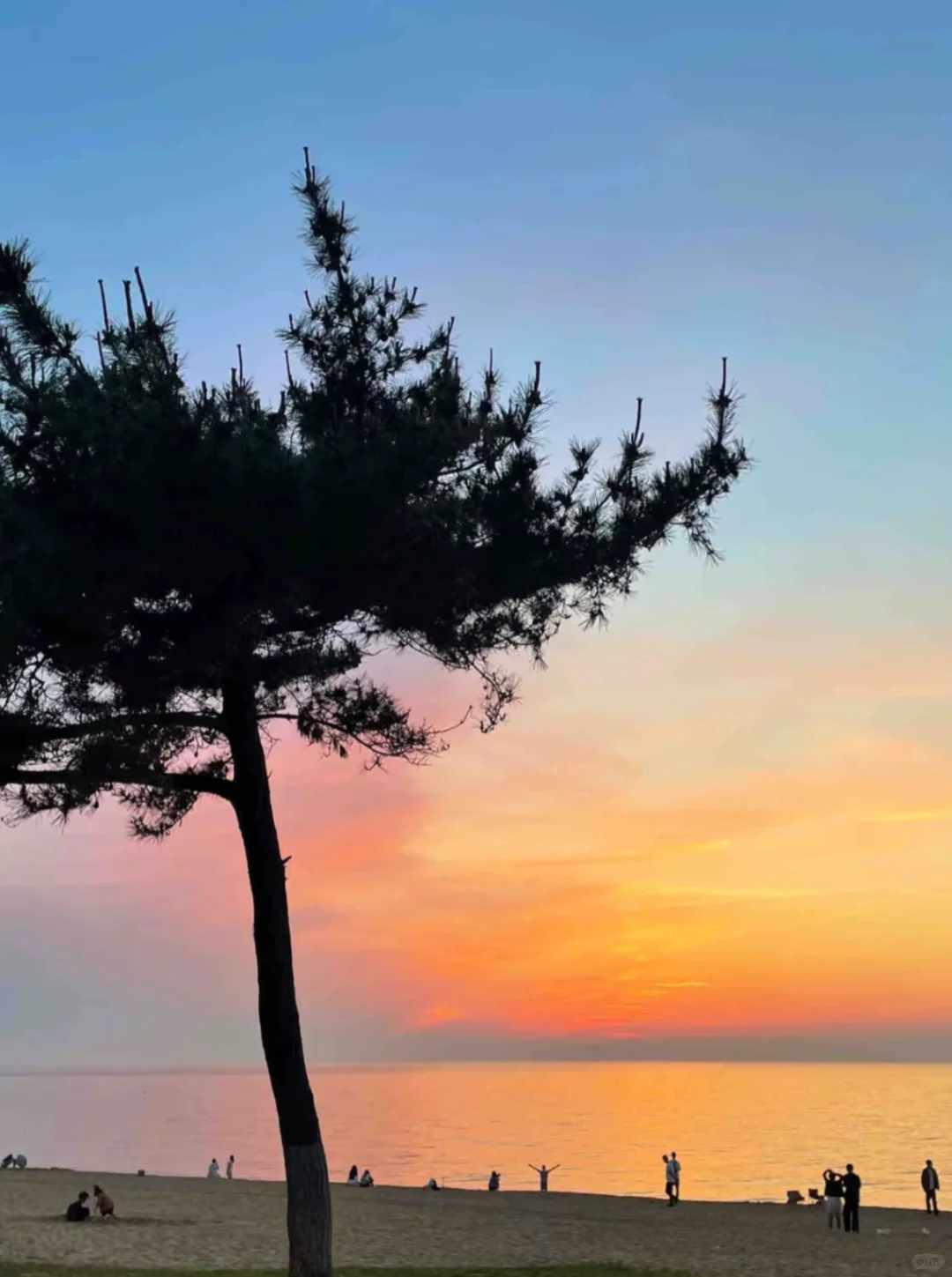 山东威海📍特种兵两天一夜游（图文版攻略）