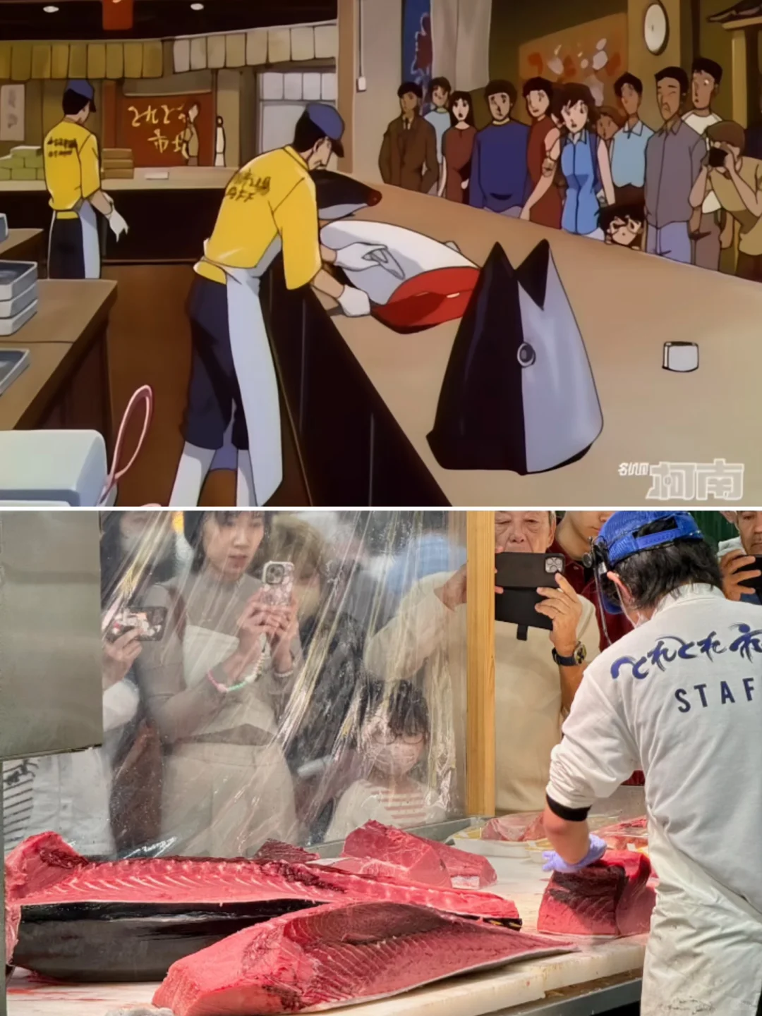 跟着动漫去旅游🇯🇵和歌山「白滨」两日攻略