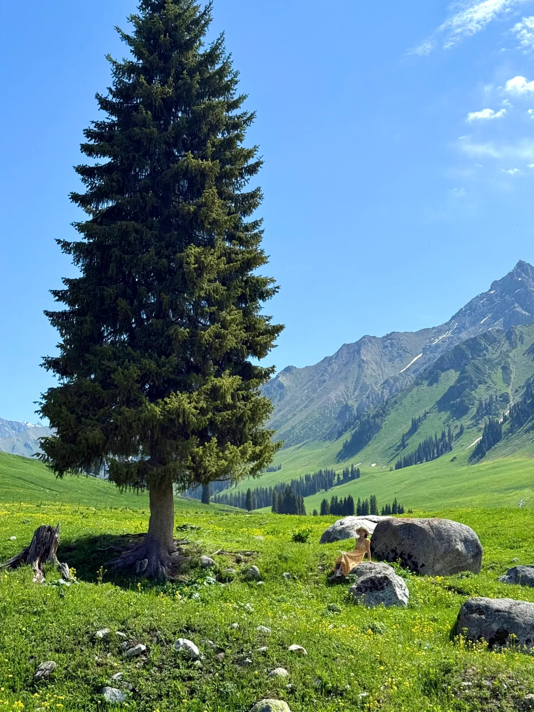 新疆live🌲,这里会是下一个爆火打卡地!