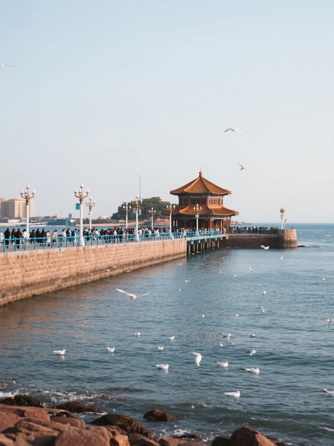 🚨 周末越狱北京 Vol.7|青岛