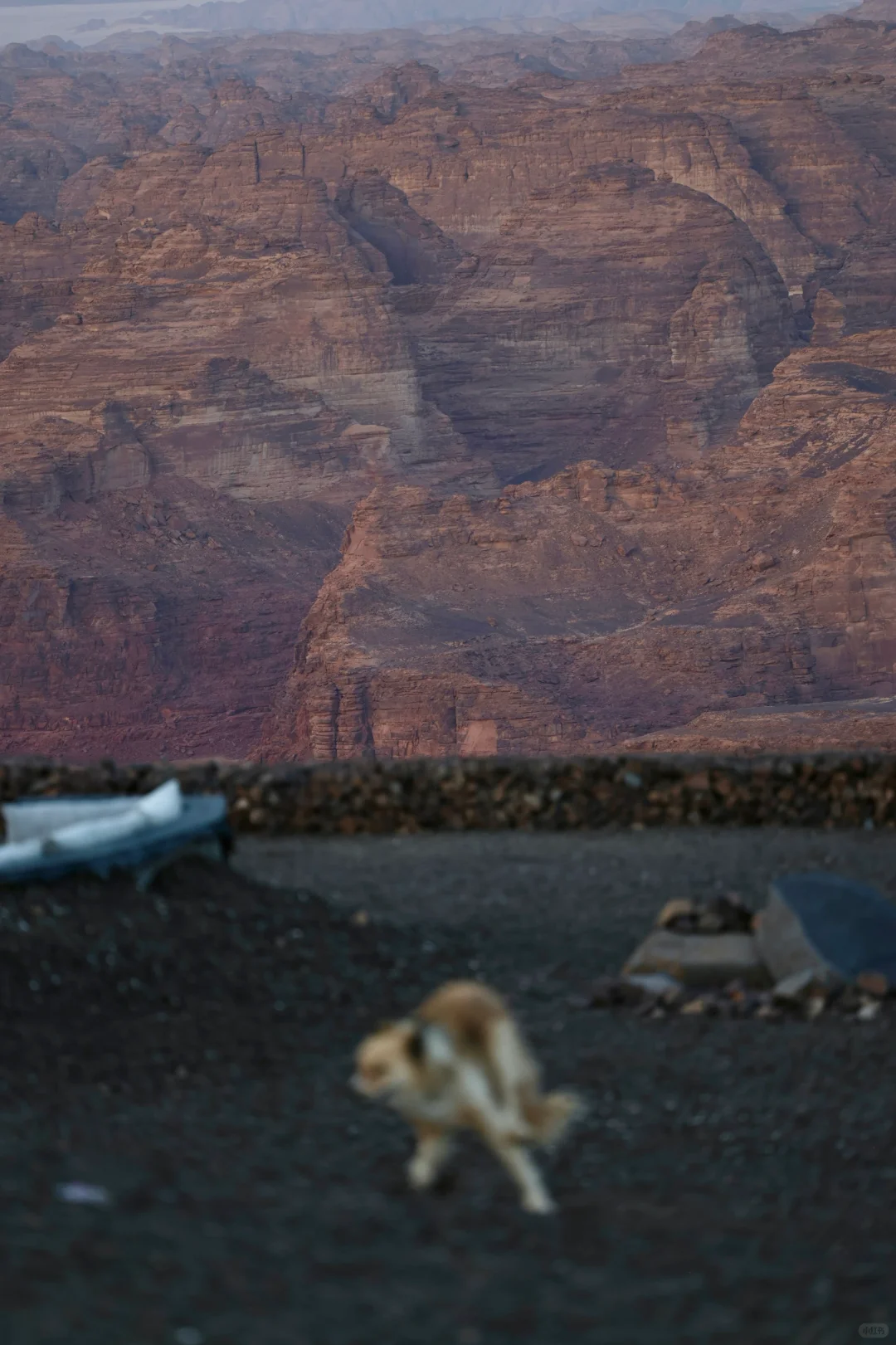 沙特5🇸🇦AlUla景点攻略｜淡季大胆冲