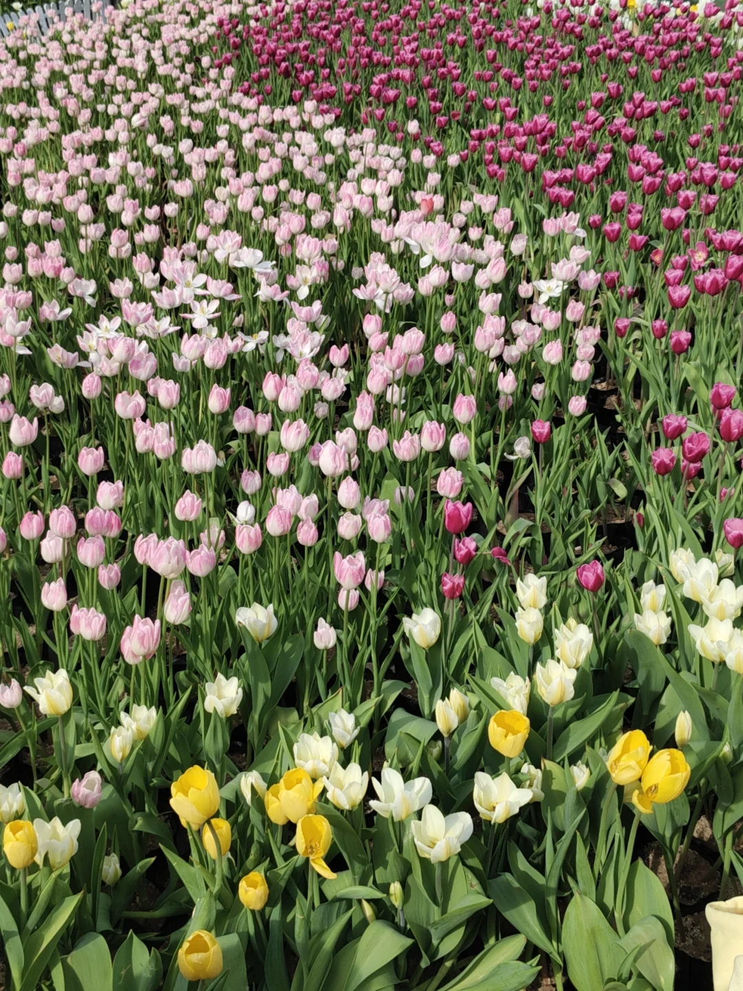 《中国国家地理》封面——宝泉游龙湾‼️