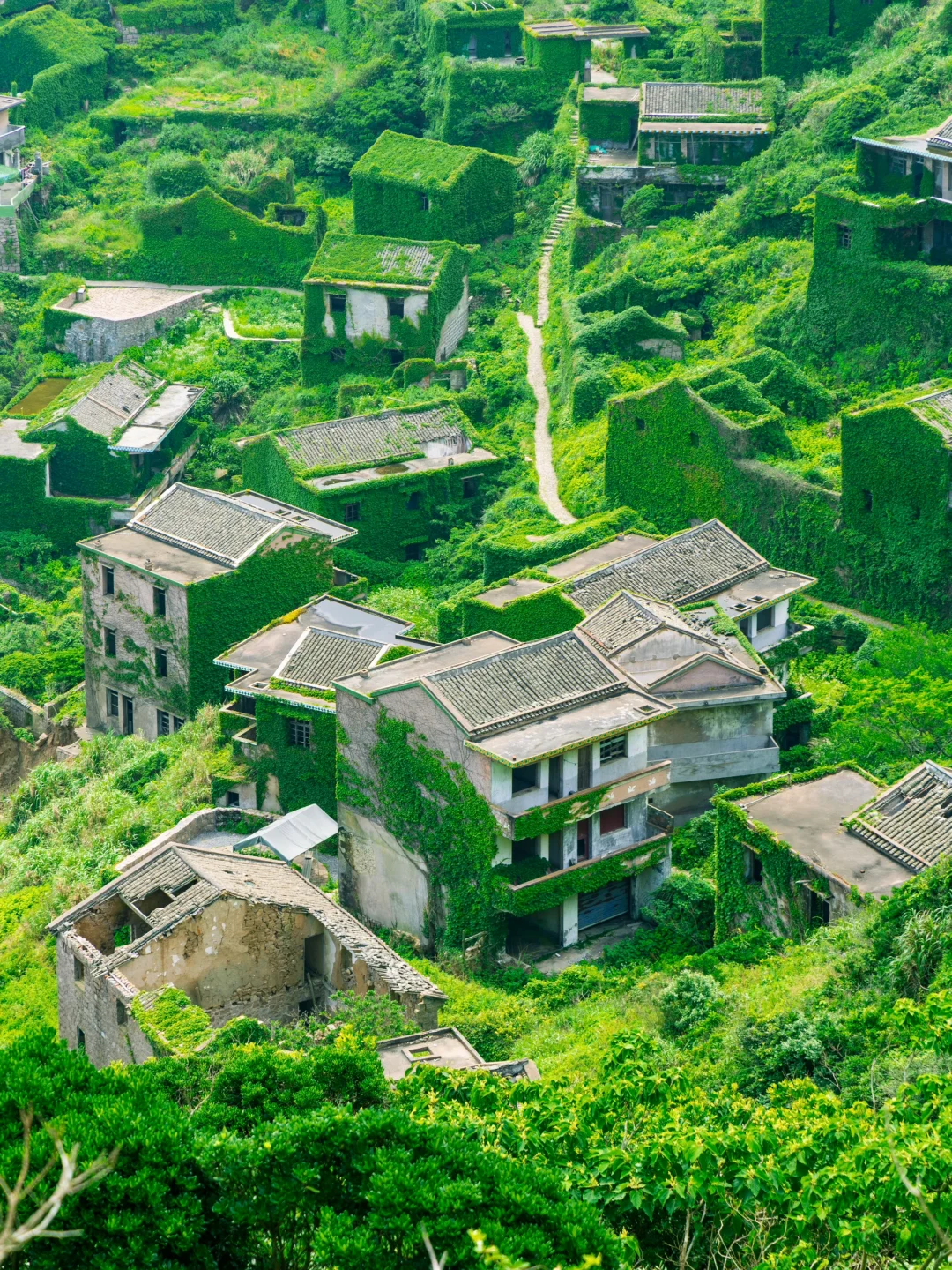 这大概就是江浙沪最蓝的海吧🌊