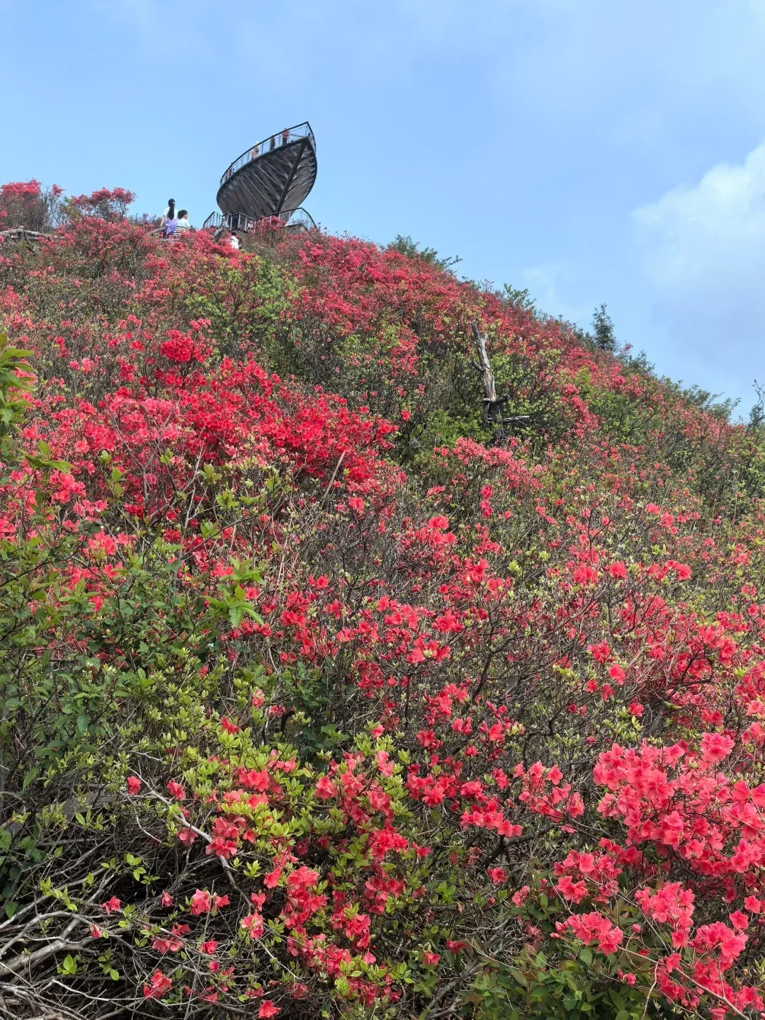 别再去人挤人的热门景点了，这些地方超惊艳