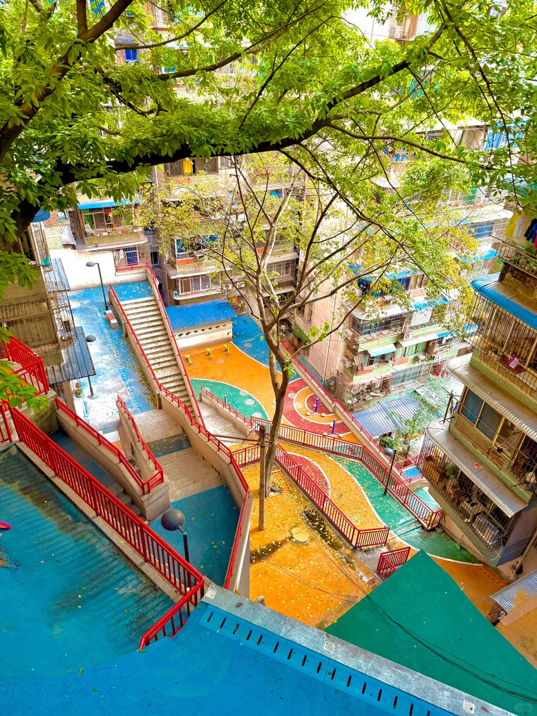 18张live图告诉你，接下来的重庆到底有多美！