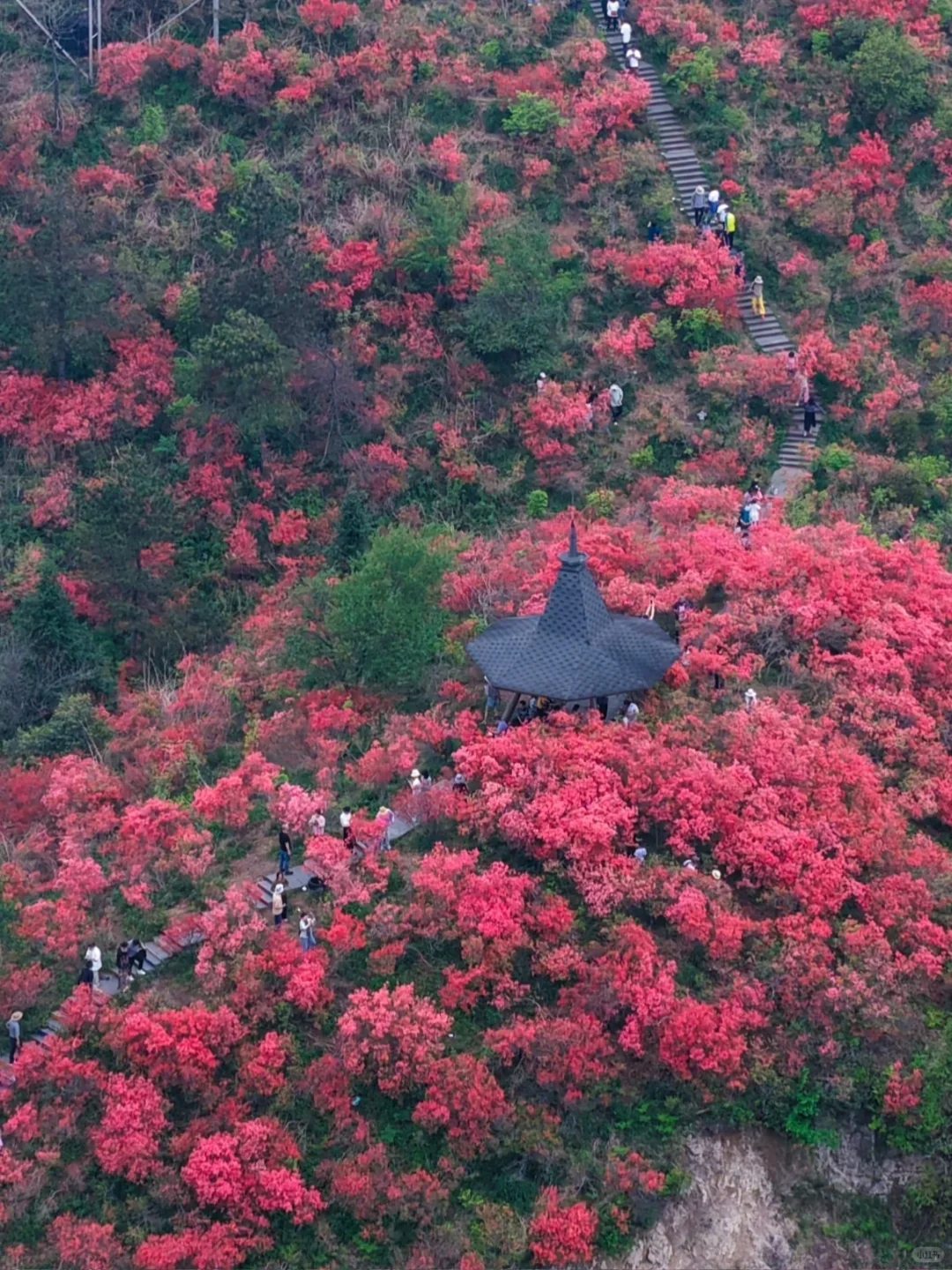 别再去人挤人的热门景点了，这些地方超惊艳