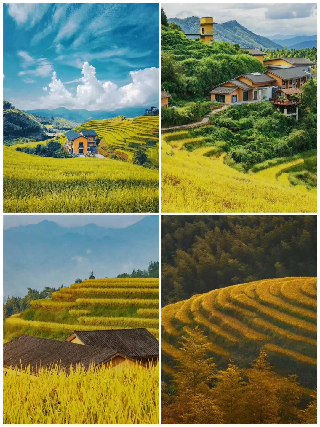 江西赣州旅游必去的7大景点🔥太经典❗️