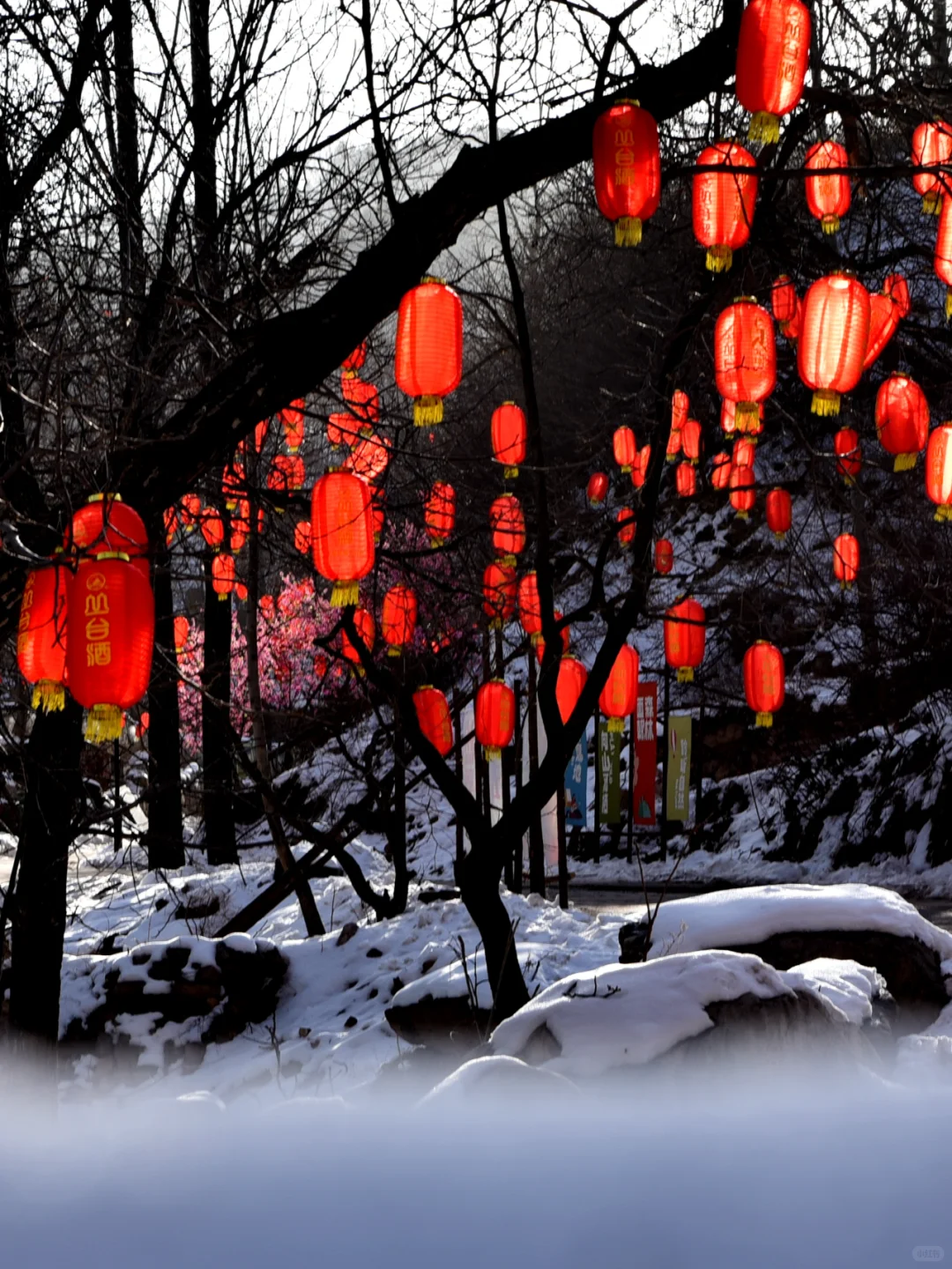 美成油画!千万不要错过雪后的七步沟