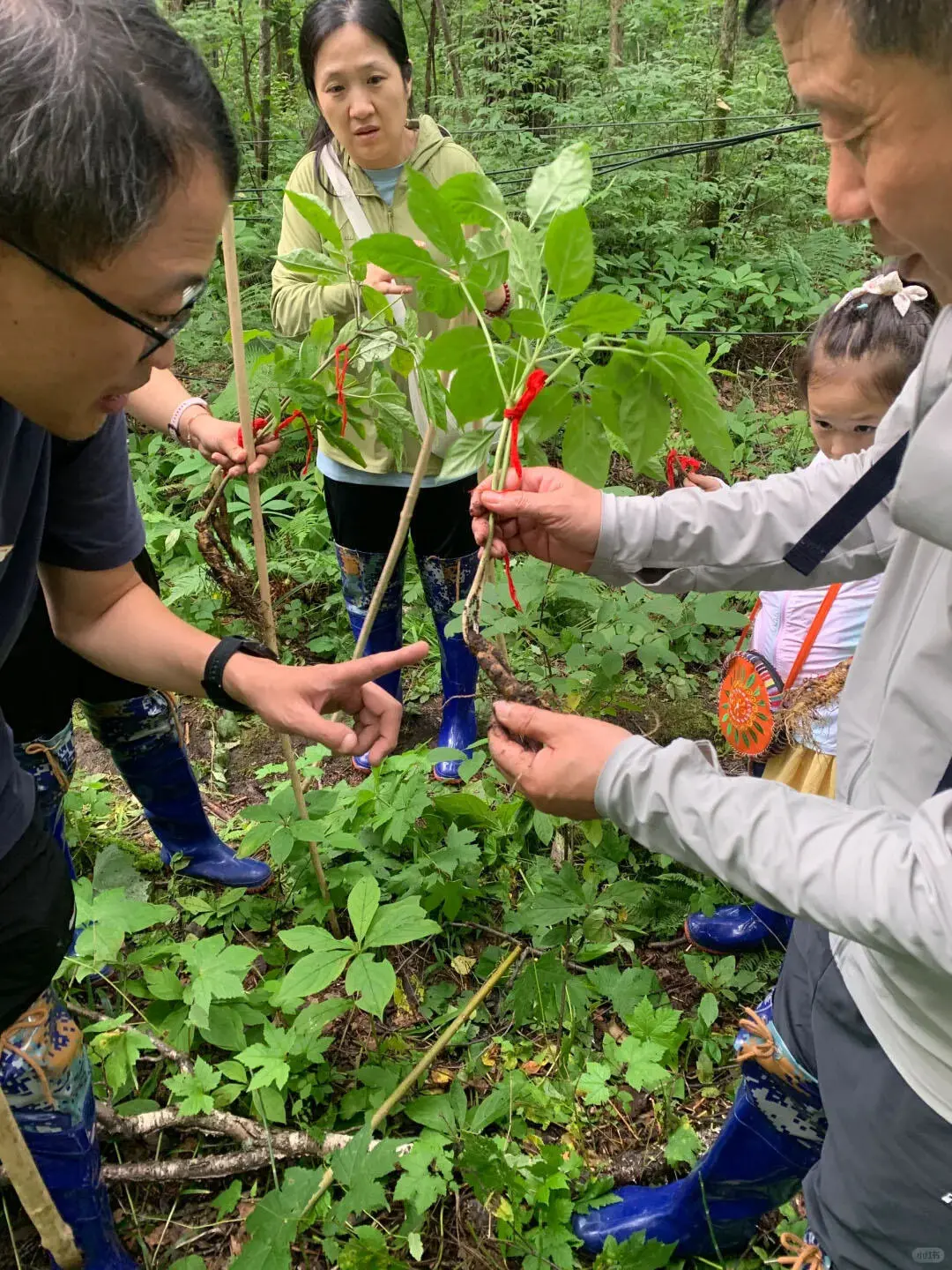 带娃去了22℃的长白山，真的很震撼！