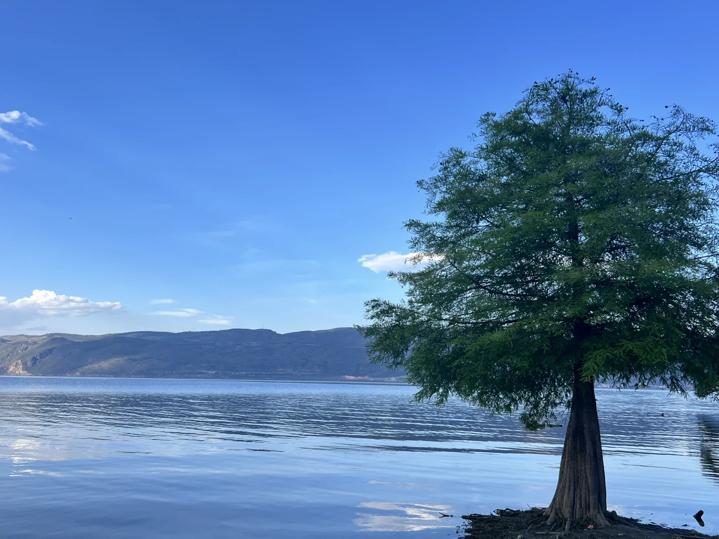 5.21-5.22两天两夜懒人打车大理攻略