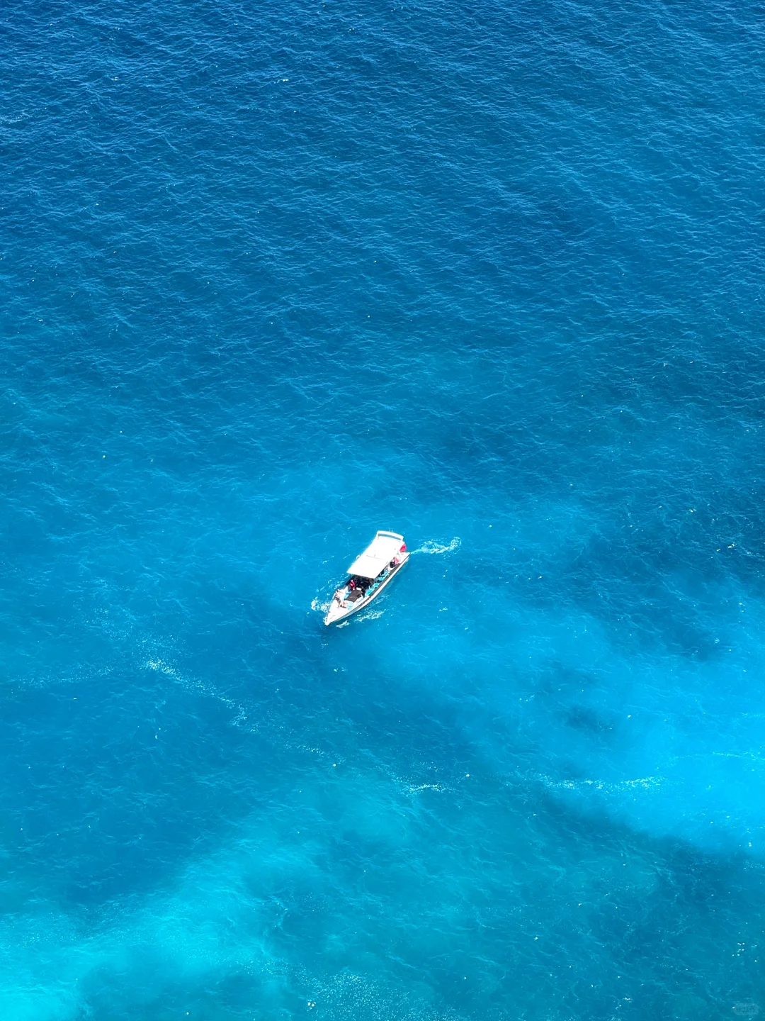 Live｜以为是意大利…