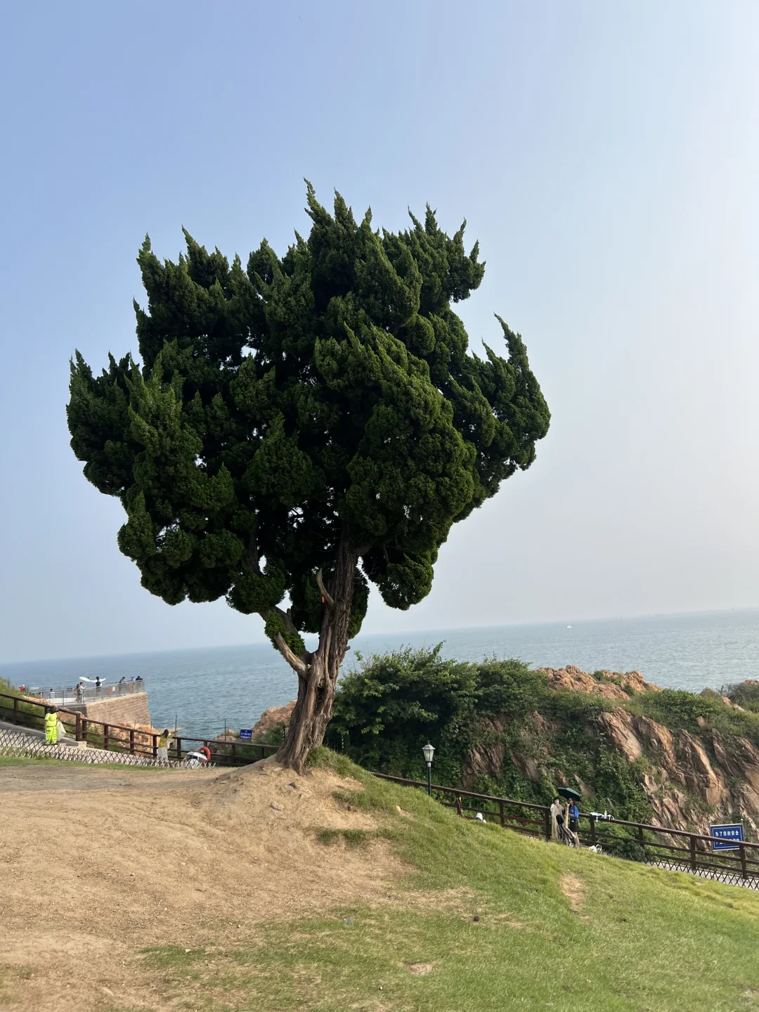 后悔来青岛前没看完这篇！青岛游玩全攻略📝