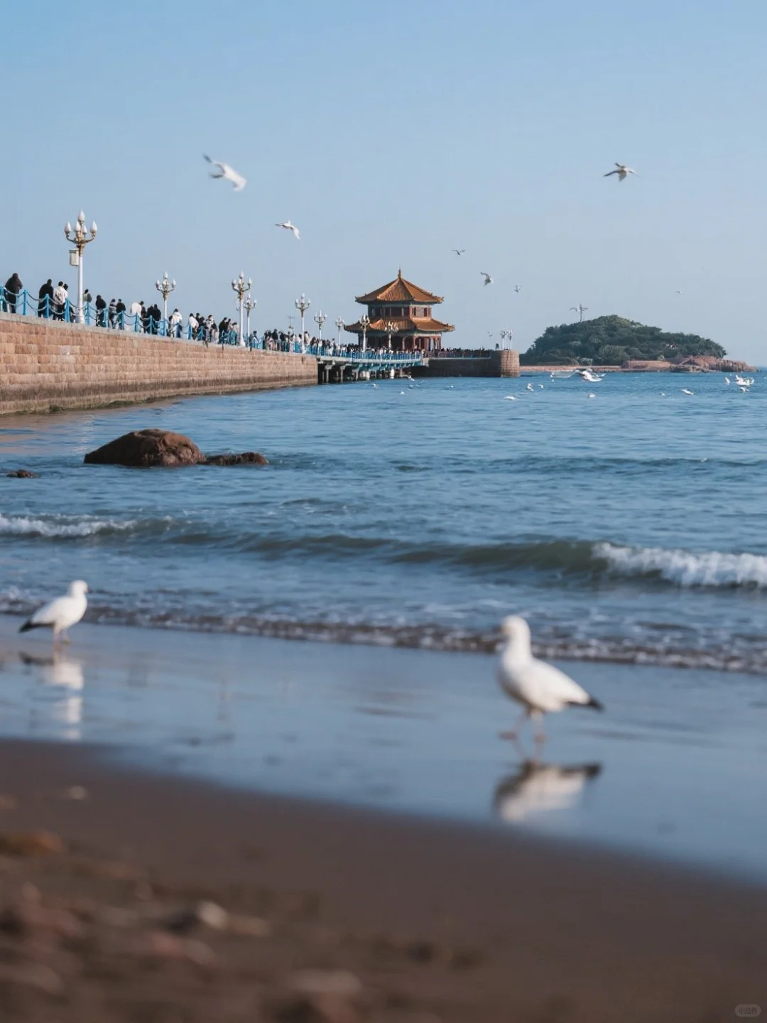 🚨 周末越狱北京 Vol.7|青岛