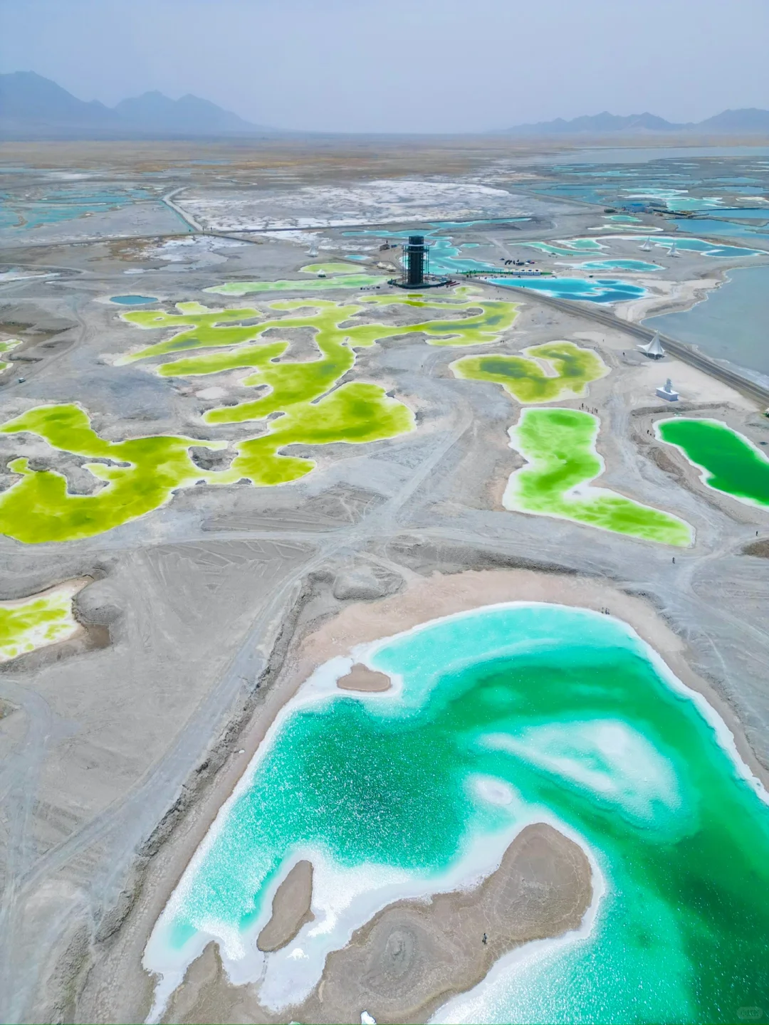 live）终于理解！为什么要夏天来大西北！！！