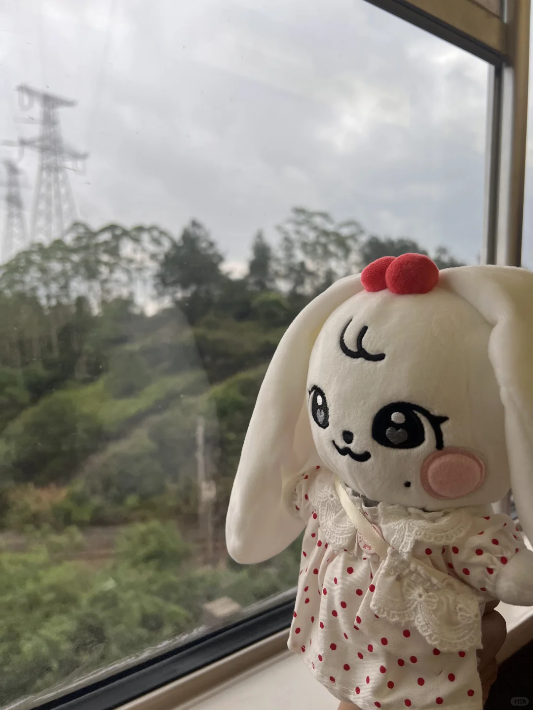 第一次带孩子旅游，有什么需要注意的吗？