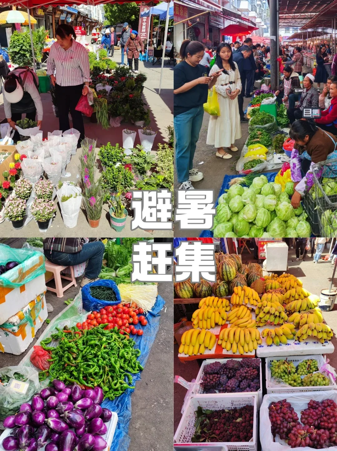 后悔才来😭这是贵州被严重低估的避暑小城