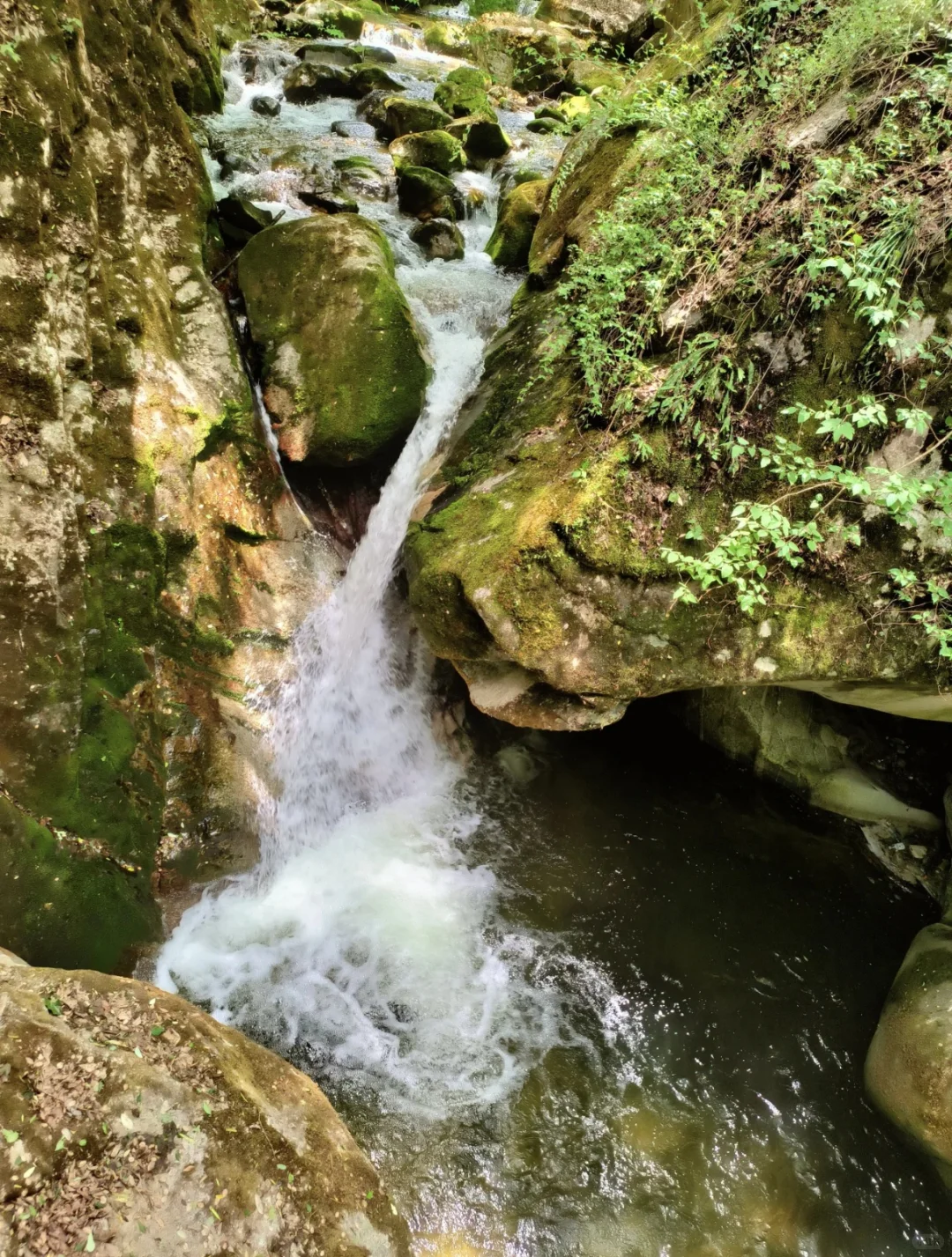 去山里感受20度的夏天🍃